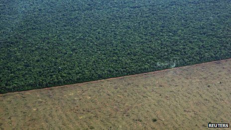 Deforestation of Amazon Rainforest