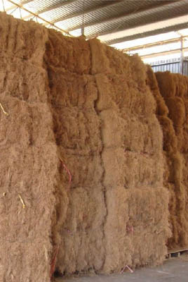 palm fiber