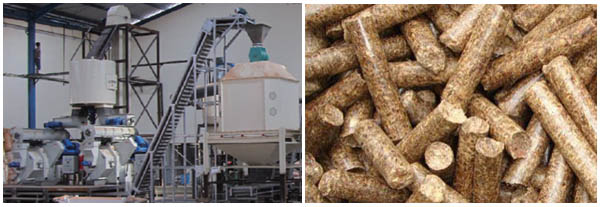 Pellet Plant & Pellets