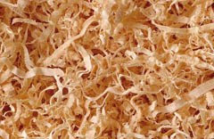 Saw Shavings