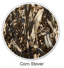 Corn Stover