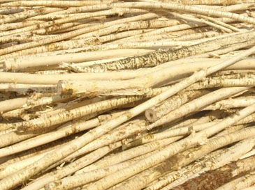 Wood