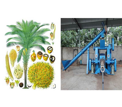 How to Start a Palm EFB Briquette Plant
